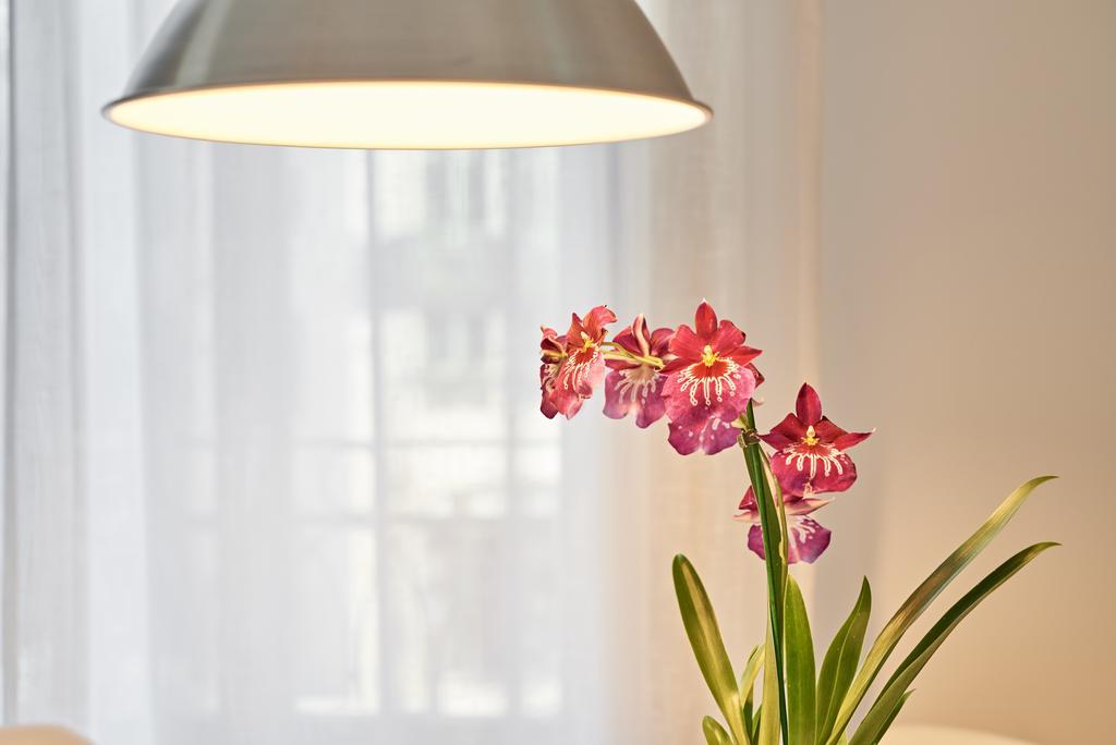 Apartamentos Ponte Nova Porto Dış mekan fotoğraf