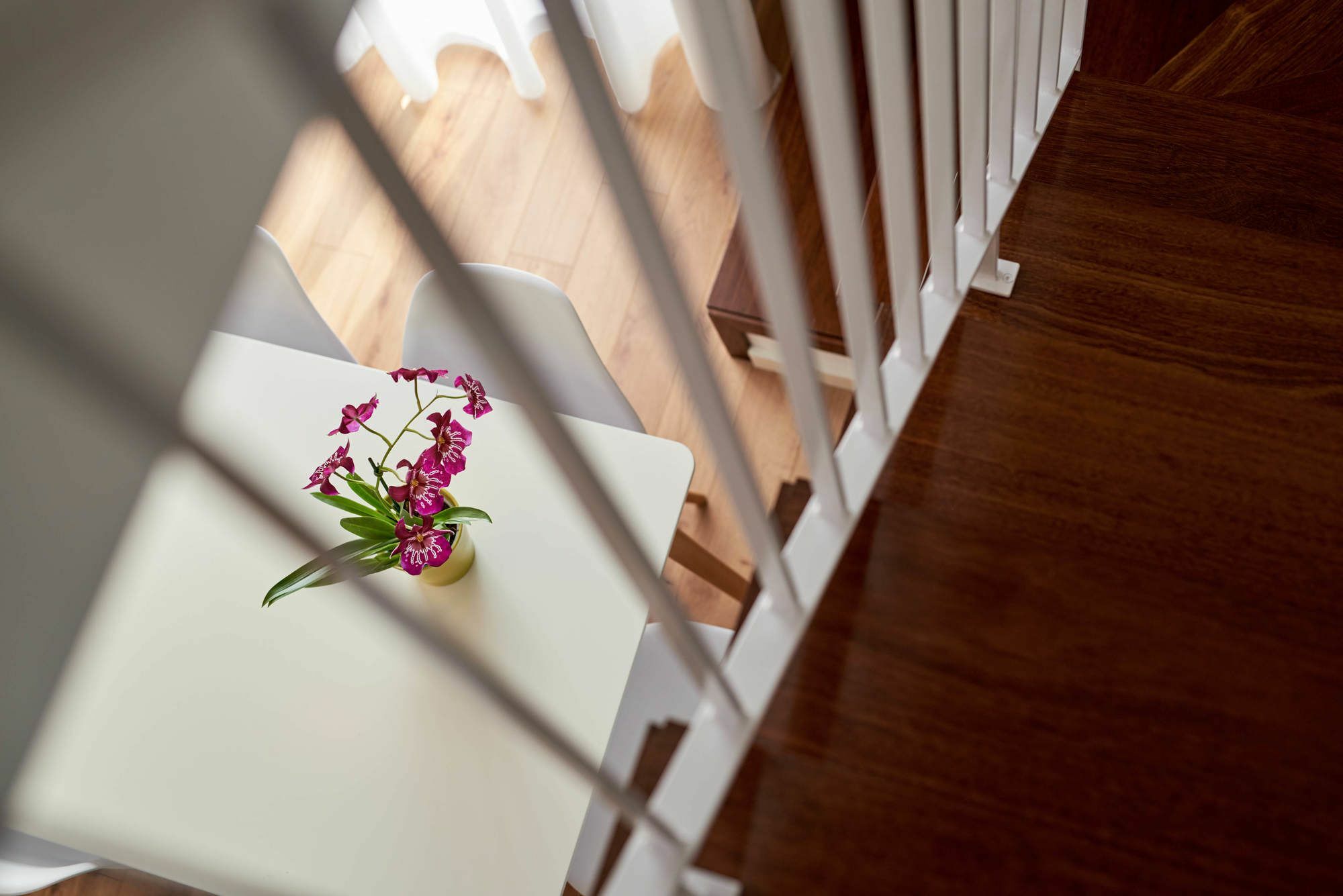 Apartamentos Ponte Nova Porto Dış mekan fotoğraf